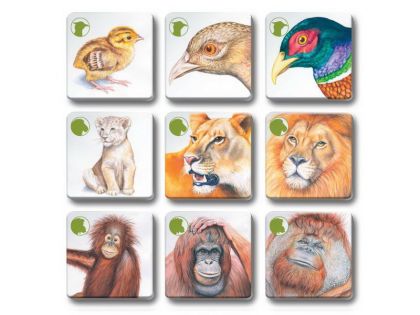 Pexetrio - Zvířecí rodinky 36 dílků