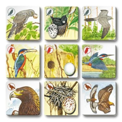 Pexetrio PLUS - Ptáci - 54 dílků