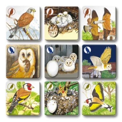 Pexetrio PLUS - Ptáci - 54 dílků