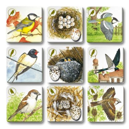 Pexetrio PLUS - Ptáci - 54 dílků