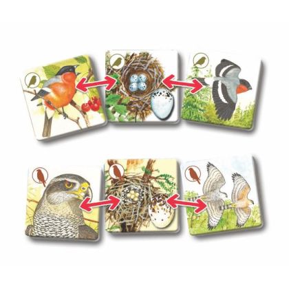 Pexetrio PLUS - Ptáci - 54 dílků