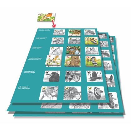 Pexetrio PLUS - Ptáci - 54 dílků