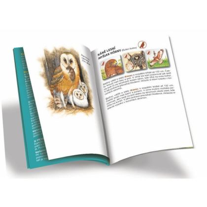 Pexetrio PLUS - Ptáci - 54 dílků