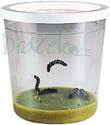 Náhradní sada 3-5 housenek - certifikát elektronický (emailem)