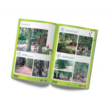 Albi, Kvído - Záhada u Máchova jezera