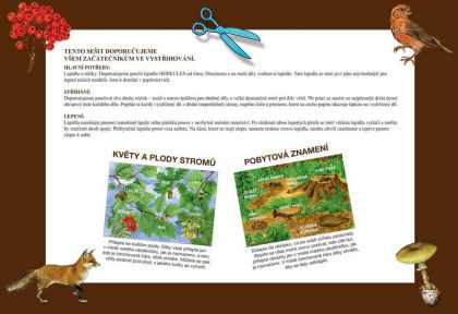 Začínáme vystřihovat - V lese