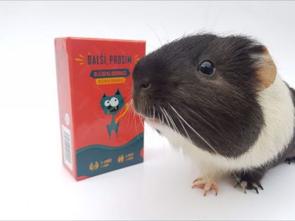 DALŠÍ, PROSÍM - chytlavá hra s domácími mazlíčky