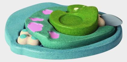 Plan Toys, Puzzle - Životní cyklus žáby