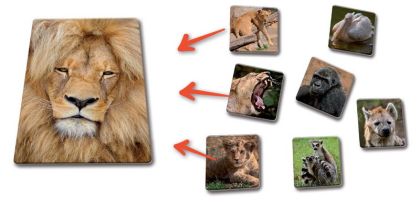 Pexetrio Loto-trio Zvířata v ZOO 1