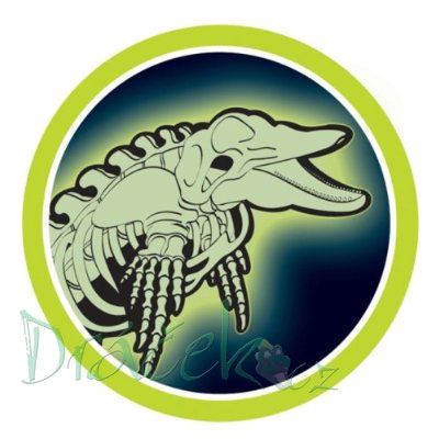 Kreativní sada GlowStars Glow Morph Delfín