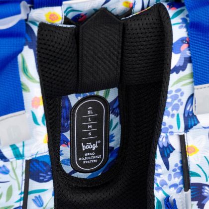 BAAGL Školní aktovka Zippy Vlaštovky