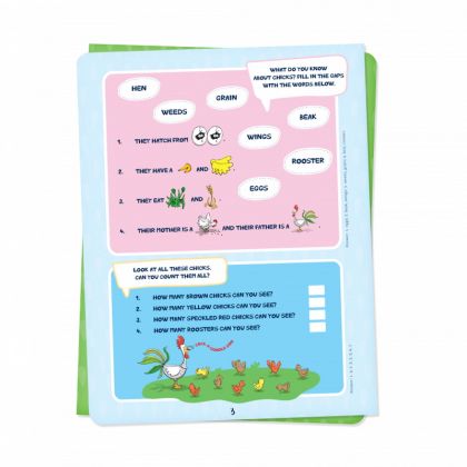 Albi, Kvído - 4. sešit plný aktivit Angličtina 6+