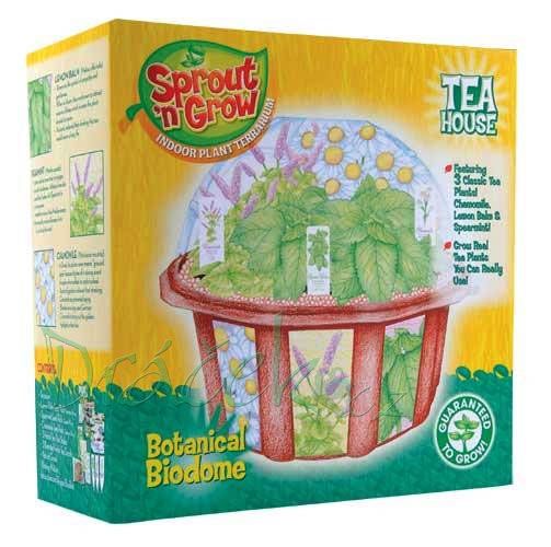 Vzdělávací  sada Skleník bylinné čaje