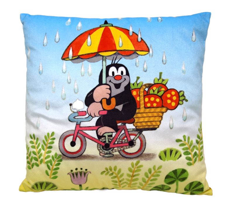 Polštář Krtek 30x30cm, léto