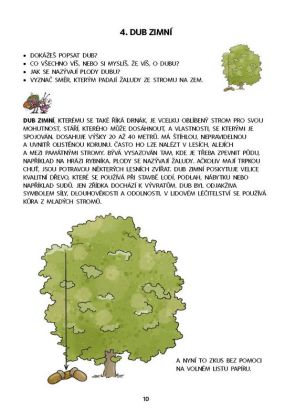 Dysgrafie pro 4.-5. ročník ZŠ - Dita Nastoupilová