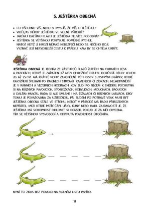 Dysgrafie pro 4.-5. ročník ZŠ - Dita Nastoupilová