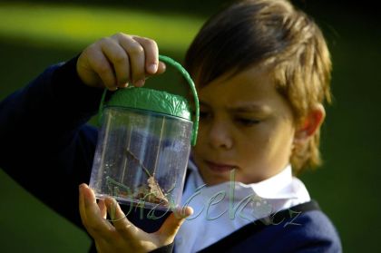 Velká nádoba na brouky (Best Ever Bug Jar)