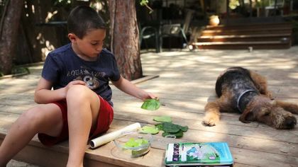 Plan Toys, Bláznivá vědecká laboratoř - Mladý trosečník