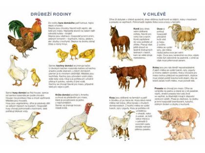 Začínáme vystřihovat - Na statku