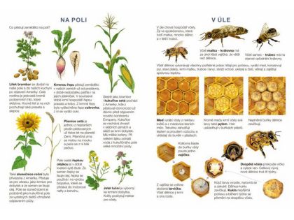 Začínáme vystřihovat - Na statku