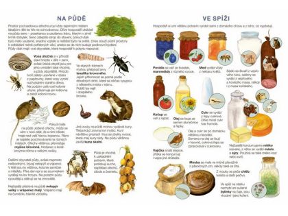 Začínáme vystřihovat - Na statku