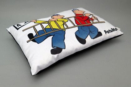Polštář 45x30cm, Pat&Mat, žebřík