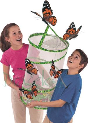 Vzdělávací přírodovědná sada Motýlí pavilon (6-10 housenek)
