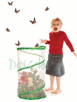 Vzdělávací přírodovědná sada Motýlí pavilon (6-10 housenek)