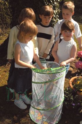 Vzdělávací přírodovědná sada Motýlí pavilon (6-10 housenek)