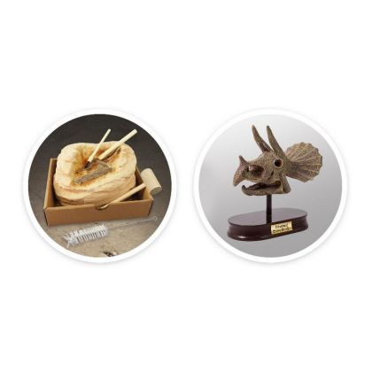 BUKI , Muzeum Dino lebka Triceratops