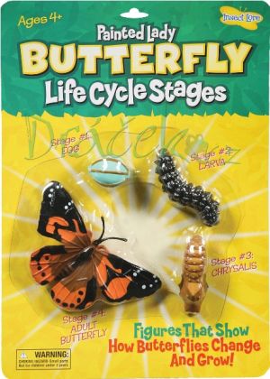 Vzdělávací sada Životní cyklus - Motýl