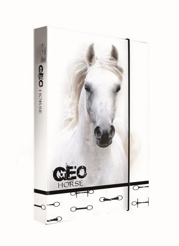 P+P Karton, Box na sešity A5 Jumbo GEO WILD kůň 19