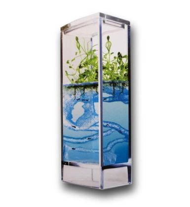 Forest Ant Mini Antquarium - Mravenčí mini akvárium