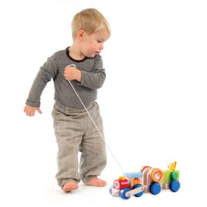 Wonderworld, Dřevěný vláček Safari