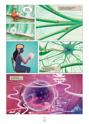 Albatros, Byl jednou jeden život - mozek, Jean-Charles Gaudin