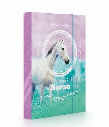 P+P Karton, Box na sešity A5 kůň romantic 19