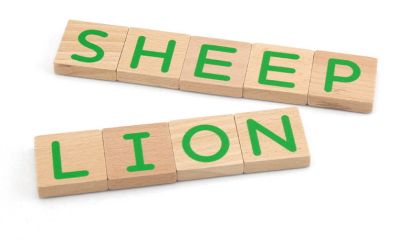 VIGA, Dřevěná magnetická písmena