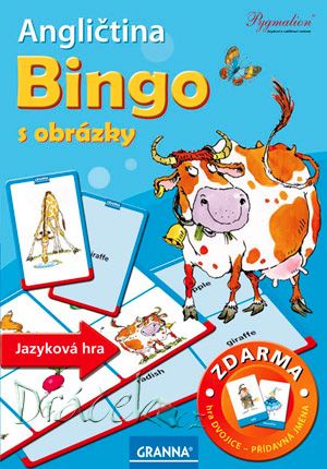 Angličtina Bingo s obrázky