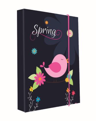 P+P Karton box na sešity A5 Spring