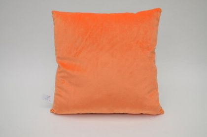 Polštář 30x30cm, Liška a sýr