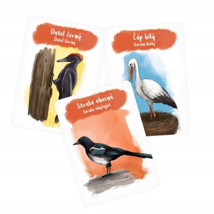 Albi, Pidikarty - Opeřenci