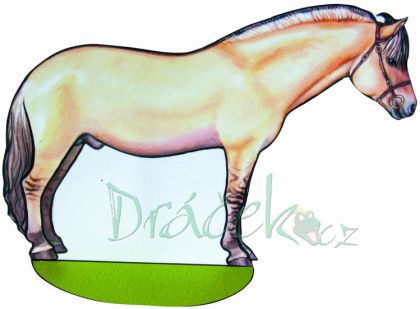 Vystřihovánky Koně a koníčci