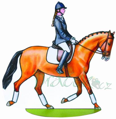 Vystřihovánky Koně a koníčci