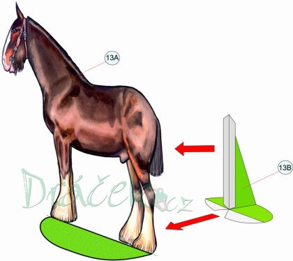 Vystřihovánky Koně a koníčci