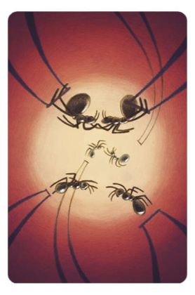 Dixit 8 - rozšíření - Harmonies