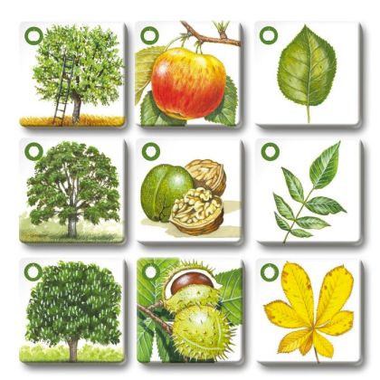 Pexetrio - Stromy - 36 dílků