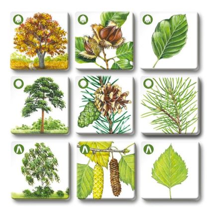 Pexetrio - Stromy - 36 dílků