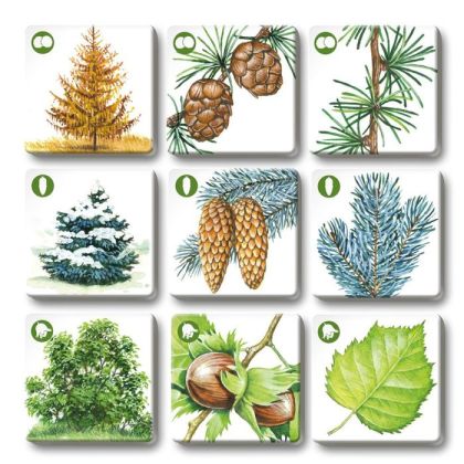 Pexetrio - Stromy - 36 dílků