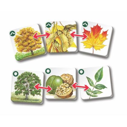 Pexetrio - Stromy - 36 dílků