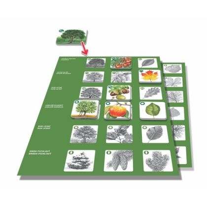 Pexetrio - Stromy - 36 dílků